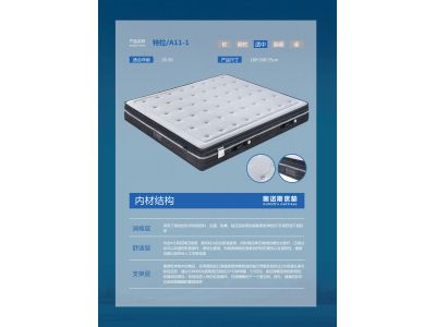 特拉A11-1